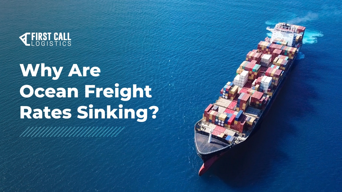 Why Are Ocean Freight Rates Sinking? | First Call Logistics