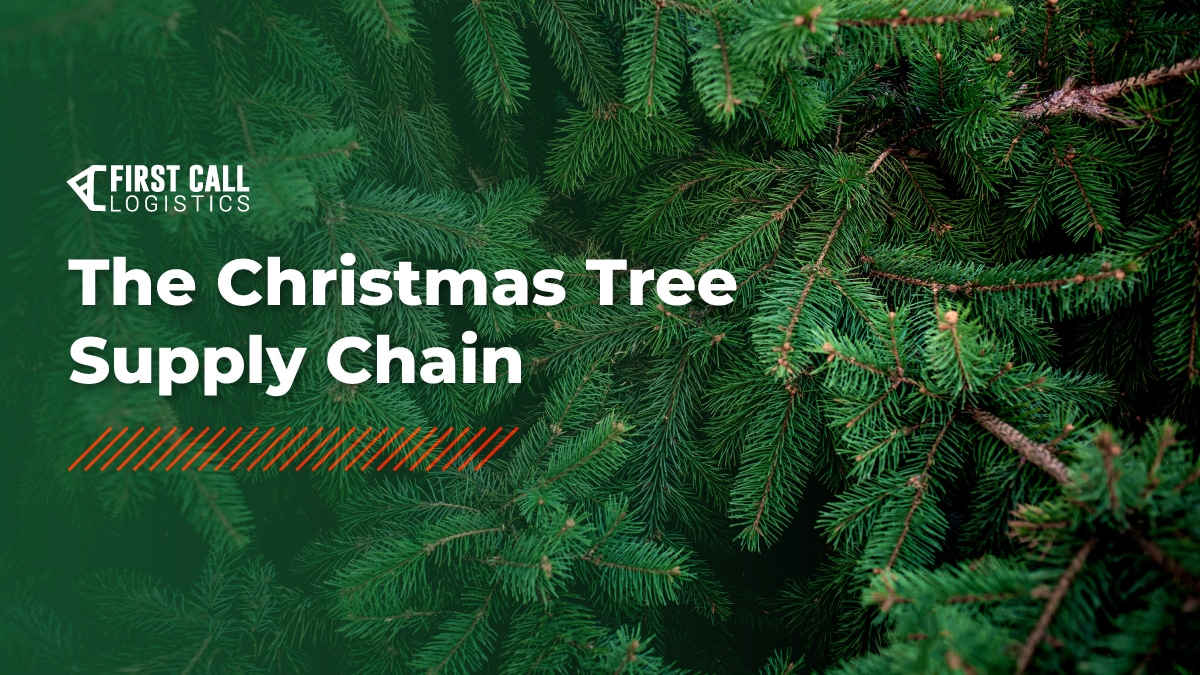Holiday Special Inside The Christmas Tree Supply Chain