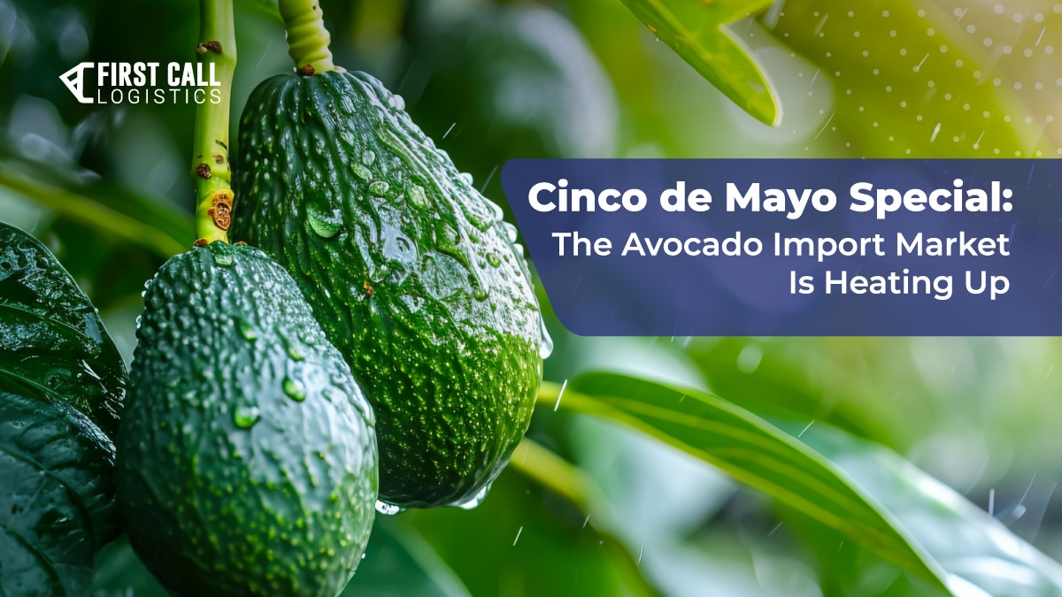 Cinco de Mayo Special: The Avocado Import Market Is Heating Up